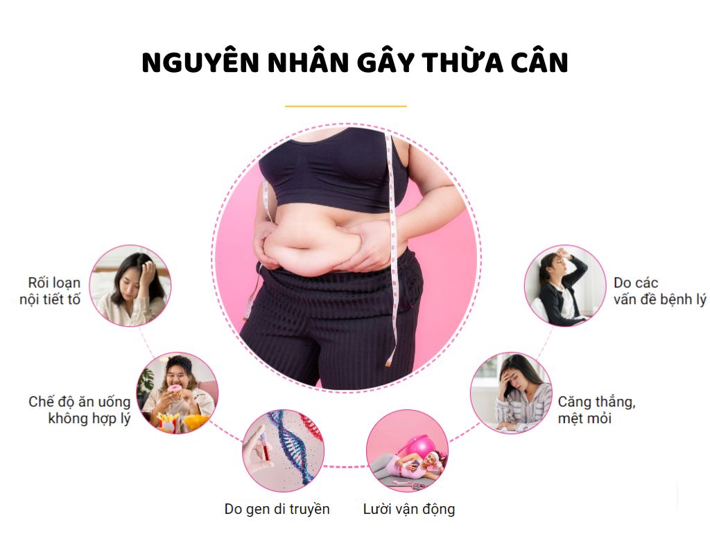 Nguyên dân dẫn đến thừa cân